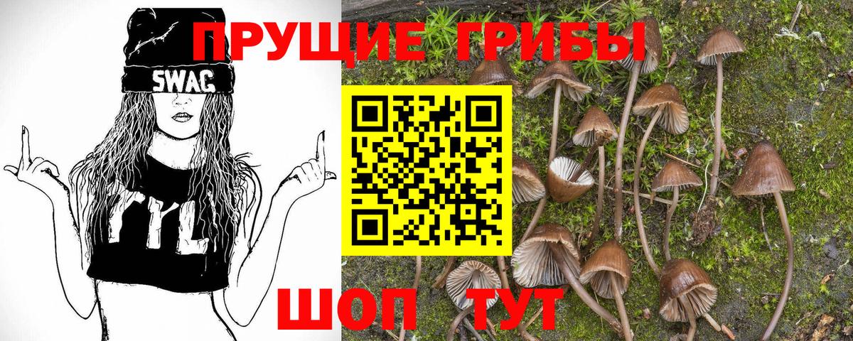 Псилоцибиновые грибы мухоморы Качканар