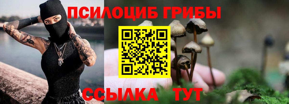 купить   Вход с VPN  Качканар  Псилоцибиновые грибы MAGIC MUSHROOMS 